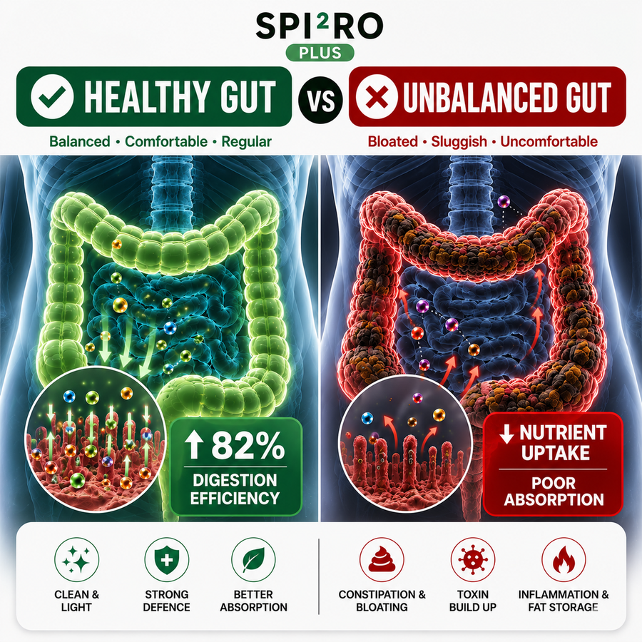 Healthy vs Damaged Gut